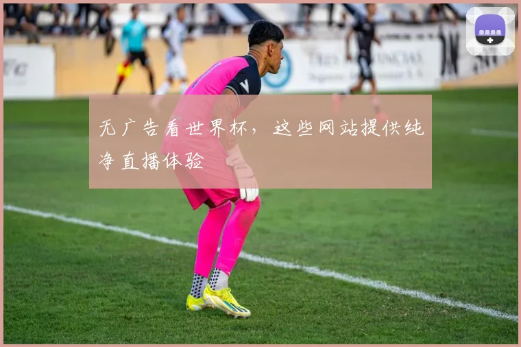 无广告看世界杯,这些网站提供纯净直播体验