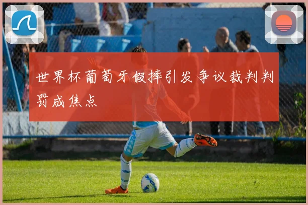世界杯葡萄牙假摔引发争议裁判判罚成焦点