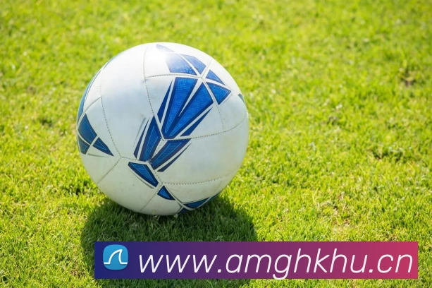 开云(中国)Kaiyun·官方网站 - 登录入口服务体系