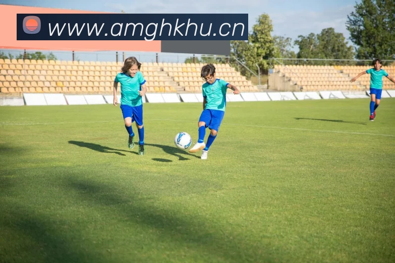 开云(中国)Kaiyun·官方网站 - 登录入口APP 体育赛事宣传图